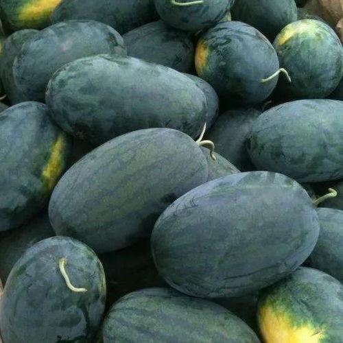 今日吃瓜每日大瓜独家黑料,独家揭秘吃瓜界的重磅黑料！